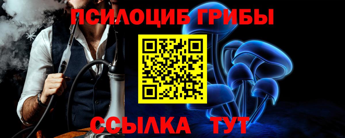 Удомля  Галлюциногенные грибы мухоморы  Вход с VPN 